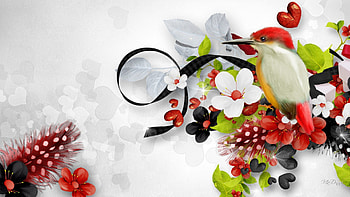 World of Wonderful Things, feathers, bird, ribbon, spring, summer, bright, hearts, nature, flowers HD wallpaper