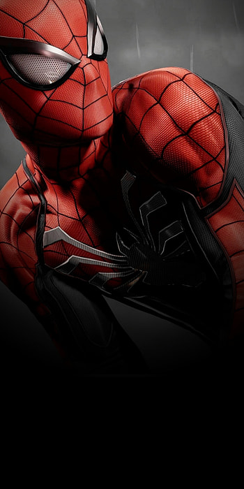 Spiderman, ball, art HD phone wallpaper