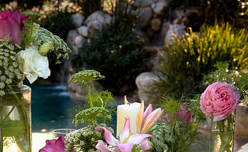 Lovely Day , sunshine, candel, special day, nature, flowers, water HD wallpaper