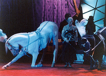 Taking A Bow, perform, circus, arabians, bow HD wallpaper