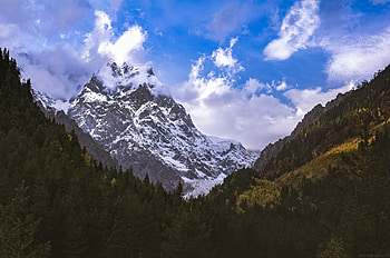 Landscape, Nature, Trees, Snow, Mountain, Vertex, Top, Forest HD wallpaper