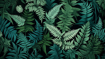 Enchanting Fern Foliage - Nature's Leafy Artwork, leaf, nature, fern HD wallpaper