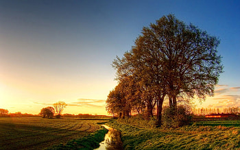 Nature, Water, Trees, Shine, Light, Field, Evening, Channel, Ditch, Moat HD wallpaper