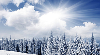 Winter Sun, winter, snow, clouds, trees, sun HD wallpaper
