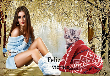 chica y su gato, chica, gato, fondo, invierno HD wallpaper