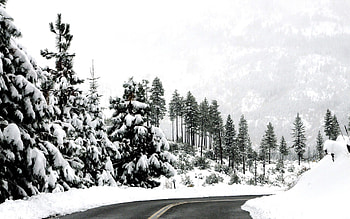 Nature, Trees, Road, Turn, Markup, Asphalt, Gloomy, Line, Ate, Solid HD wallpaper