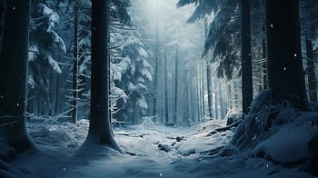 Winter Wonderland: Snowy Forest, winter, snowy forest, forest, snow, tree HD wallpaper