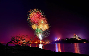 Firework , Sunlit explosion, Vibrant celebration, Festive holiday HD wallpaper