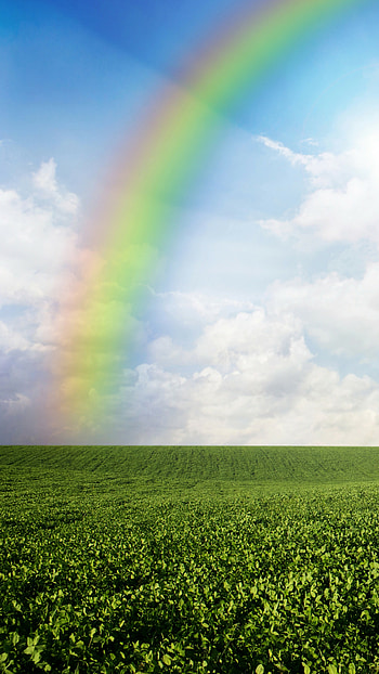 Meadows , , rainbow sky HD phone wallpaper