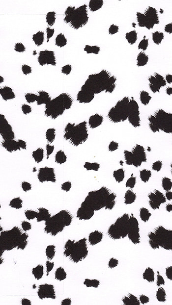 Cow Print, White ablack Aesthetic, white black aesthetic HD phone wallpaper