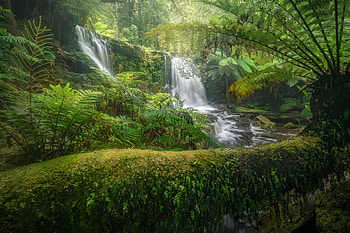 Horseshoe Falls, Mount Field N.P., Australia, waterfall, australia, nature, forest HD wallpaper