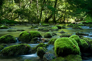 Semenic Romania, un, al romaniei, loc ascuns, minunate HD wallpaper