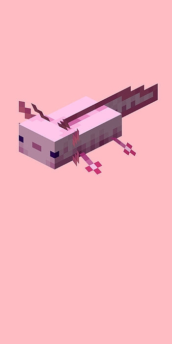 Minecraft pink axolotl, Minecraft-, mc, Minecraft-axolotl HD phone wallpaper