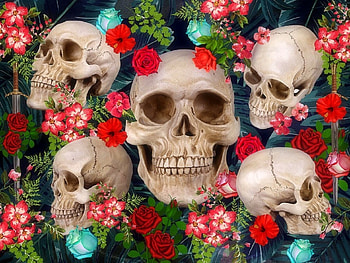 ✿⊱•╮Sweet Skulls╭•⊰✿, roses, digital art, lovely still life, skulls, creative pre-made, still life, love four seasons, halloween, fantasy, flowers HD wallpaper