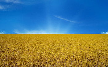 Landscape, Nature, Fields HD wallpaper