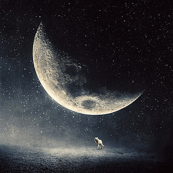 Seeking Fulfillment, Albulena Panduri HD phone wallpaper
