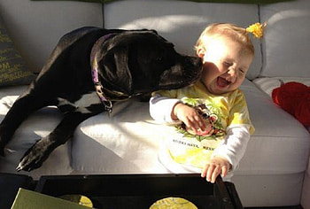 HEY BABY GIVE US A KISS, KISSES, BABY, CUTE, DOG HD wallpaper