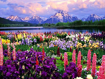 Khagan Valley, terrific, awesome, paradise, beautiful, marvelous HD wallpaper