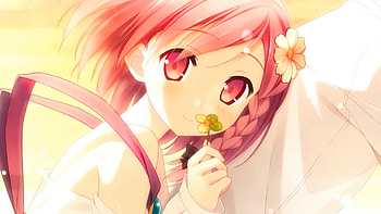 Yua, anime, flower, your diary, sunset HD wallpaper