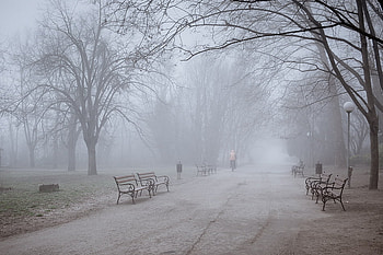Fog, bench, graphy, path, cold, park, mist, bulgarai, trees, road, nature HD wallpaper