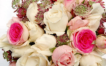 Flowers, Roses, Close-Up, Bouquet, Buds HD wallpaper