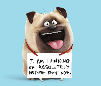 Mel The Secret Life Of Pets, the-secret-life-of-pets, movies, animated-movies, cartoons, 2016-movies HD wallpaper