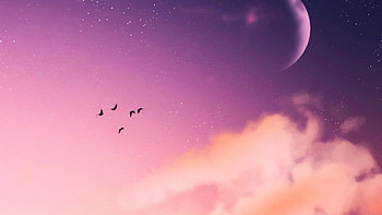 End Of The Day, birds, artist, artwork, digital-art, deviantart HD wallpaper