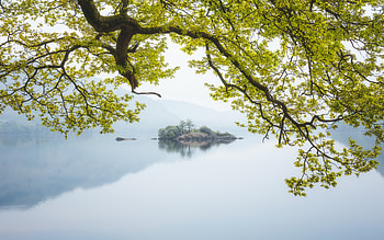 Lake in Cumbria, UK, island, UK, lake, tree HD wallpaper