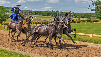 Hungarian horse riding, Eventing HD wallpaper