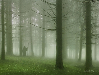 Landscape, Death HD wallpaper