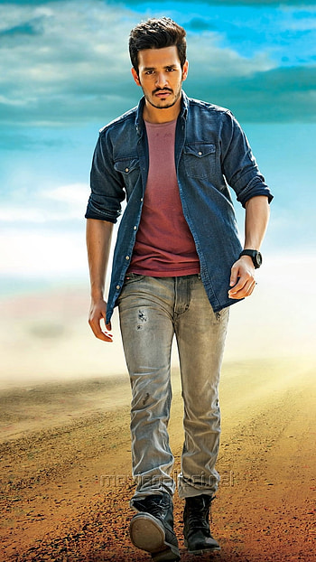 Akhil Akkineni, South Actor HD phone wallpaper