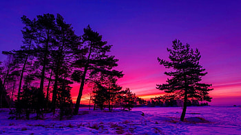 Colorful Sunset, trees, winter, sky, snow, colors HD wallpaper