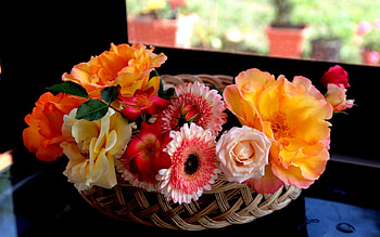Handsomely, Flowers, Miscellanea, Miscellaneous, Basket, It's Beautiful HD wallpaper