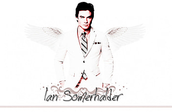 Ian Somerhalder, wings, white, black, man, angel, vampire, pink, tv series, movie, actor HD wallpaper
