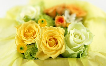 Perfect Yellow Roses, rose, bouquet, roses, yellow HD wallpaper