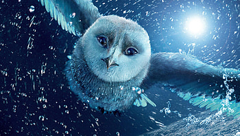 Legend of the Guardians: The Owls of Ga& HD wallpaper