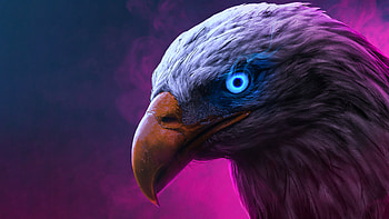 Eagle Glowing Eyes , eagle, artist, artwork, digital-art HD wallpaper