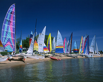 Sailboats at Gunpowder, sailboats, gathering, sails, colors, ocean HD wallpaper