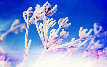 Fantasy Winter, nature, winter, snow HD wallpaper