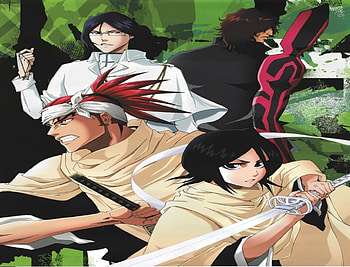 Bleach Anime, rukia, uryuu, kuchiki, ishida, bleach, abarai, anime, chad, renji HD wallpaper