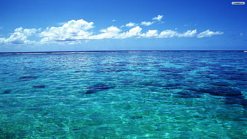 Girl Underwater in Ocean HD wallpaper