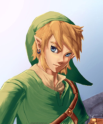 Link, Hero of legend, Twilight Princess, Fan-favorite character HD phone wallpaper