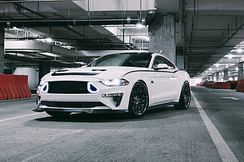 White Ford Mustang, muscle car HD wallpaper