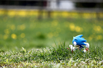 Sonic in Green Hill Zone, sonic, model, video game, green hill zone, real, hedgehog, figurine, dof HD wallpaper