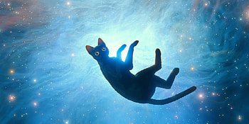 Flow (2024) - Captivating of a Cosmic Cat, movie, Flow (2024) HD wallpaper