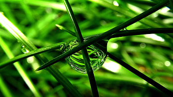 Objects, Drops HD wallpaper