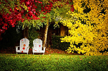 Peaceful Autumn, chairs, leaves, Fall, bushes, trees, grass, Autumn HD wallpaper