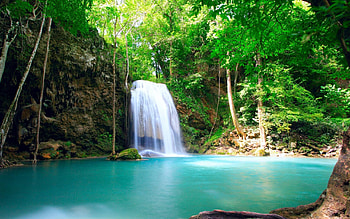 Arenal Tempisque Conservation Area, Costa Rica HD wallpaper