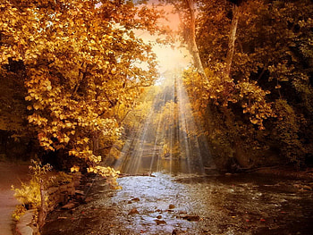 Autumn river light, rays, river, sunlight, glow, colors, nice, shine, trees, autumn, golden, fall, beautiful, falling, leaves, light, branches, nature, lovely, forest, foliage HD wallpaper
