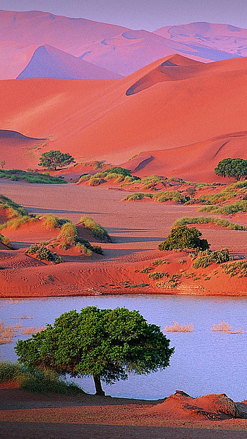 Namib desert, Sand dunes, Scenic vistas, Windows 10 spotlight HD phone wallpaper